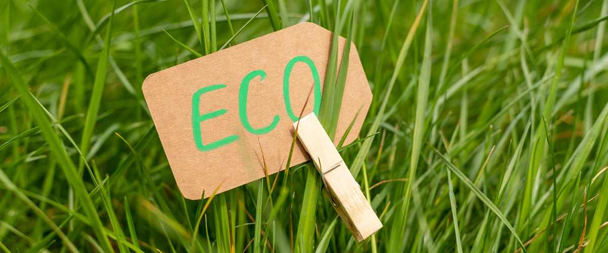 Close-up of a cardboard sign reading 'ECO' clipped onto grass, symbolizing eco-friendly initiatives.