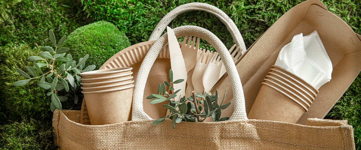 Eco-friendly disposable tableware made from recyclable materials, including cups, plates, and cutlery in a reusable bag, placed on a mossy green background.